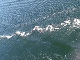 20180725_084955